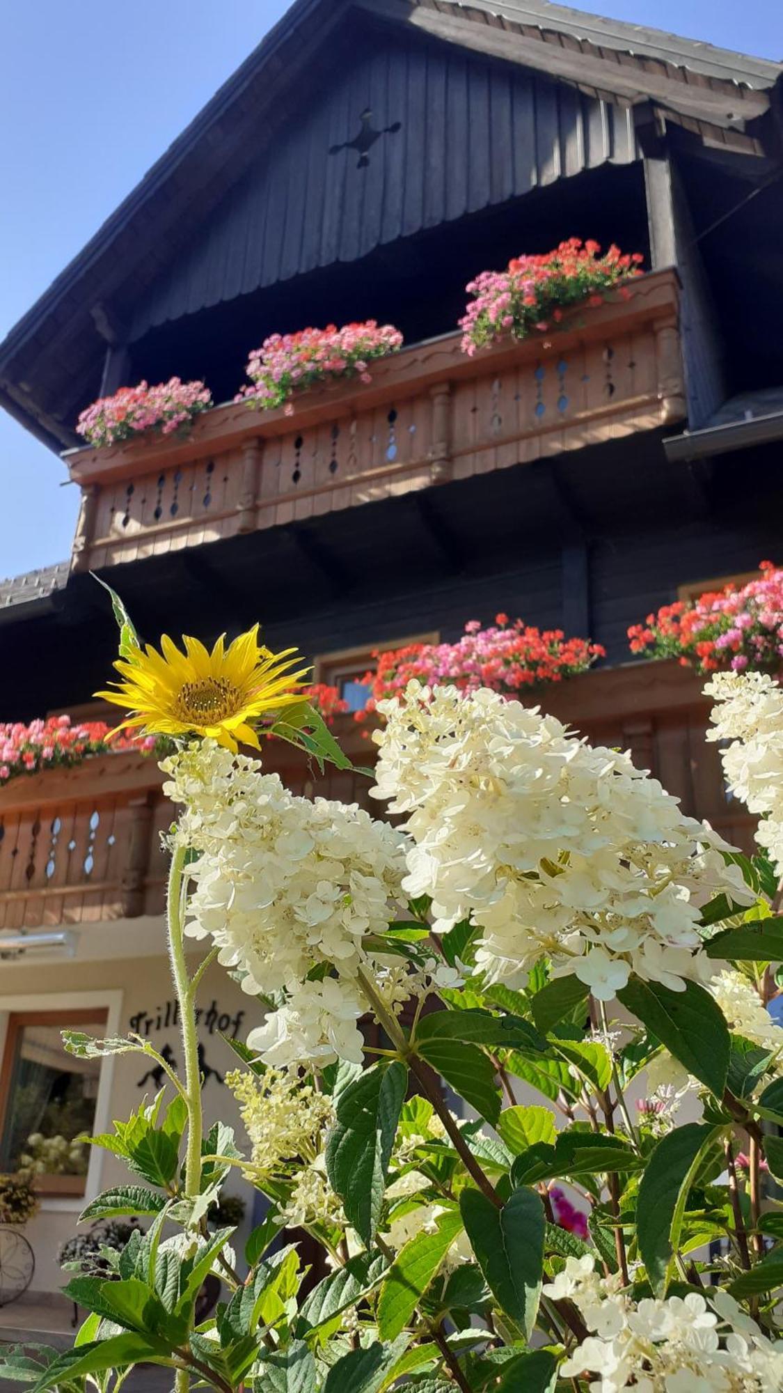 Pension Trillerhof Ramsau am Dachstein Exterior photo