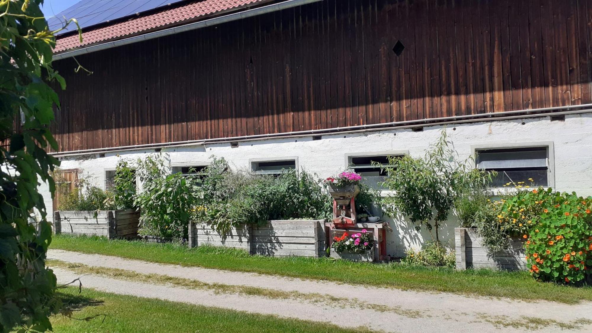 Pension Trillerhof Ramsau am Dachstein Exterior photo